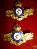 MM121 - 33rd Huron Regiment Officer's Collar Badge Pair